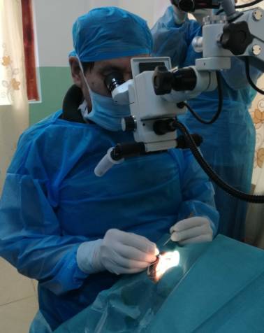 2017年8月1日，霍鸣教授正式受聘为宜昌6686 - 看球聊球追世界杯就来6686体育有限公司官方网站院长