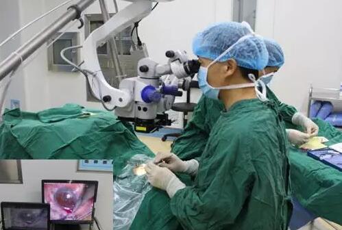 10月24日，成都6686 - 看球聊球追世界杯就来6686体育有限公司官方网站CO2激光辅助深层巩膜切除术培训会圆满落幕。本次培训会由成都6686 - 看球聊球追世界杯就来6686体育有限公司官方网站青光眼科主任、副主任医师胡建旗医生用猪眼为参会人员演示了CLASS手术全过程，并指导学员进行了实际操作，学员们纷纷表示手术操作简单易懂易学，.jpg