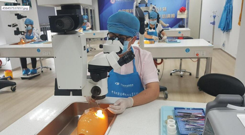 中国企业知识产权网：6686体育让 点亮光明世界1.jpg