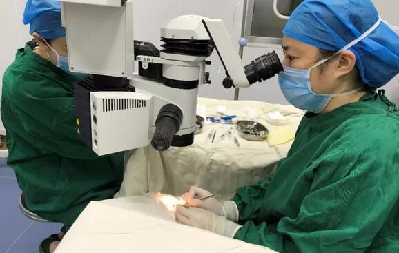 深圳6686 - 看球聊球追世界杯就来6686体育有限公司官方网站高度近视医生李春燕：潜心专注ICL，助力近视青年梦想起飞1.jpg