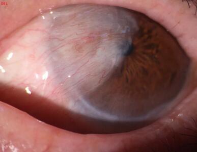 6686体育党员风采之淮南6686 - 看球聊球追世界杯就来6686体育有限公司官方网站李建东院长：为光明而来，任重而道远3.jpg