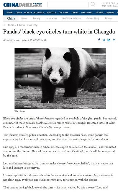 媒体看6686体育之成都6686 - 看球聊球追世界杯就来6686体育有限公司官方网站2018年新闻媒体报道集锦8.jpg