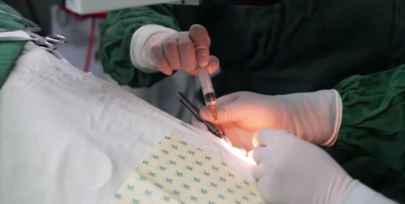 6686体育按下复工“快进键”，旗下医院有序接诊，6686体育集团各医院有序复诊的消息接踵而来……厦门眼科中心，环球眼科科学院院士黎晓新教授、赵堪兴教授等各类专家号均可预约;龙岩6686 - 看球聊球追世界杯就来6686体育有限公司官方网站，一个下午，为6名患者除“障”送光明;青岛6686 - 看球聊球追世界杯就来6686体育有限公司官方网站，复诊以来已开展各类手术45台;菏泽6686 - 看球聊球追世界杯就来6686体育有限公司官方网站，复诊以来已开展屈光手术60余台，白内障、青光眼、眼底、眼表等手术20余台……2.png